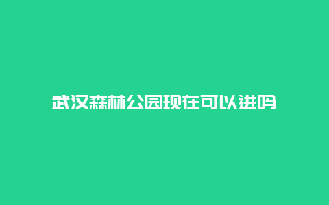 武汉森林公园现在可以进吗