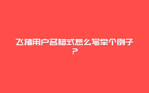 飞猪用户名格式怎么写举个例子？