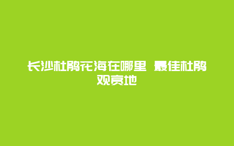 长沙杜鹃花海在哪里 最佳杜鹃观赏地