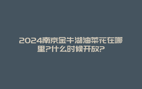 2024南京金牛湖油菜花在哪里?什么时候开放?