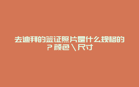 去迪拜的签证照片是什么规格的？颜色＼尺寸