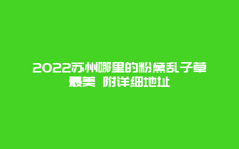 2022苏州哪里的粉黛乱子草最美 附详细地址