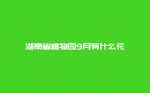 湖南省植物园9月有什么花