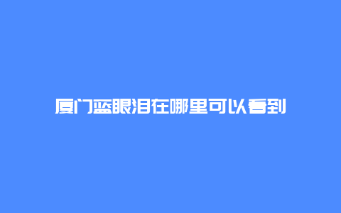 厦门蓝眼泪在哪里可以看到