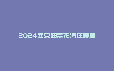 2024西安油菜花海在哪里