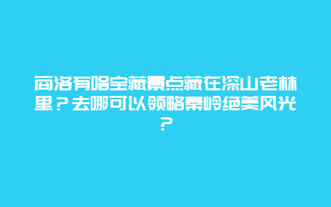 商洛有啥宝藏景点藏在深山老林里？去哪可以领略秦岭绝美风光？