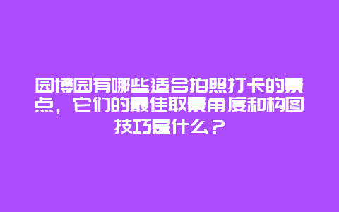 园博园有哪些适合拍照打卡的景点，它们的最佳取景角度和构图技巧是什么？