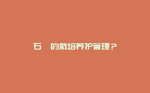 石斛的栽培养护管理？