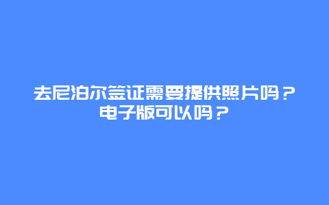 去尼泊尔签证需要提供照片吗？电子版可以吗？