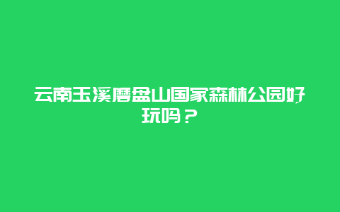 云南玉溪磨盘山国家森林公园好玩吗？