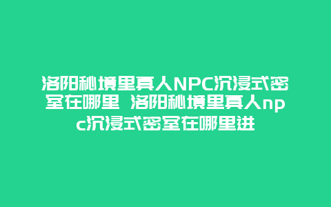 洛阳秘境里真人NPC沉浸式密室在哪里 洛阳秘境里真人npc沉浸式密室在哪里进