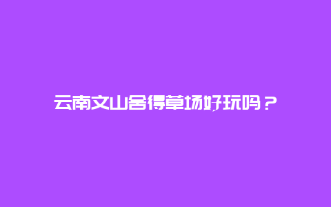 云南文山舍得草场好玩吗？