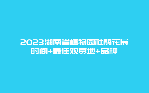 2024湖南省植物园杜鹃花展时间+最佳观赏地+品种