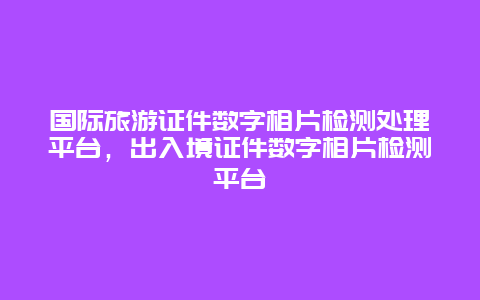 国际旅游证件数字相片检测处理平台，出入境证件数字相片检测平台