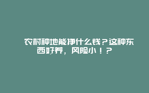 ﻿农村种地能挣什么钱？这种东西好养，风险小！？