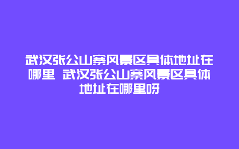 武汉张公山寨风景区具体地址在哪里 武汉张公山寨风景区具体地址在哪里呀