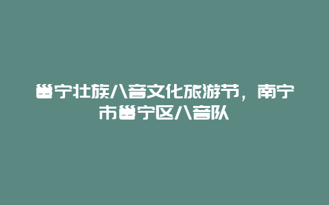 邕宁壮族八音文化旅游节，南宁市邕宁区八音队