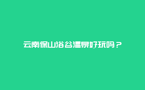 云南保山浴谷温泉好玩吗？