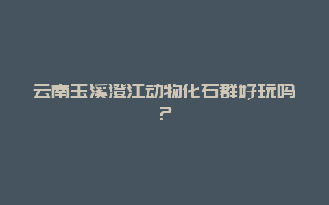 云南玉溪澄江动物化石群好玩吗？