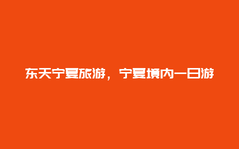 东天宁夏旅游，宁夏境内一日游