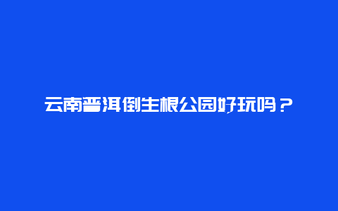 云南普洱倒生根公园好玩吗？