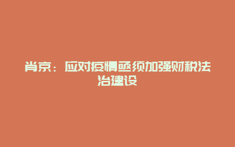 肖京：应对疫情亟须加强财税法治建设