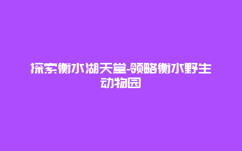 探索衡水湖天堂-领略衡水野生动物园