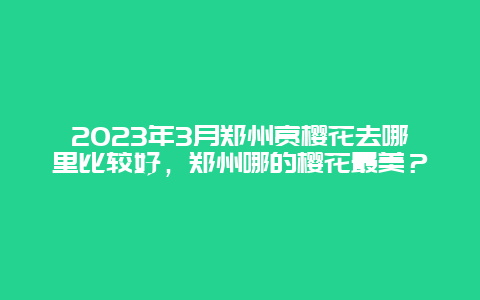 2024年3月郑州赏樱花去哪里比较好，郑州哪的樱花最美？