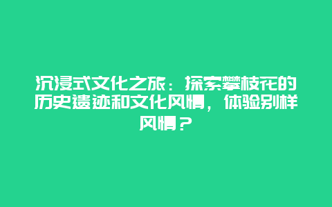 沉浸式文化之旅：探索攀枝花的历史遗迹和文化风情，体验别样风情？