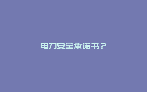 电力安全承诺书？