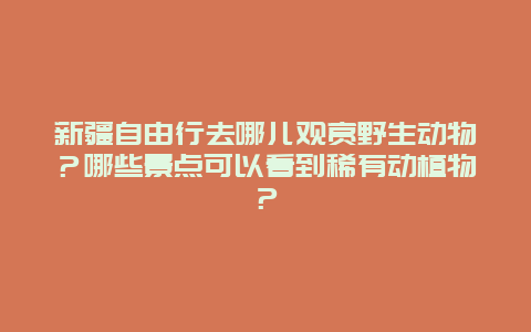 新疆自由行去哪儿观赏野生动物？哪些景点可以看到稀有动植物？