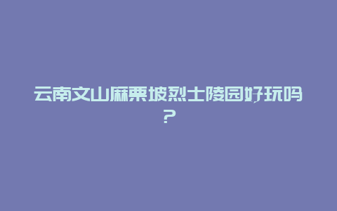 云南文山麻栗坡烈士陵园好玩吗？