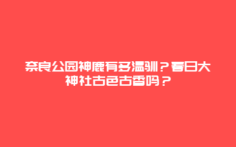 奈良公园神鹿有多温驯？春日大神社古色古香吗？