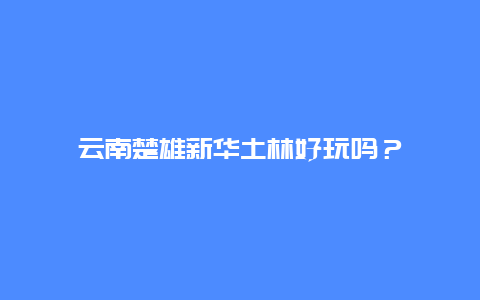 云南楚雄新华土林好玩吗？