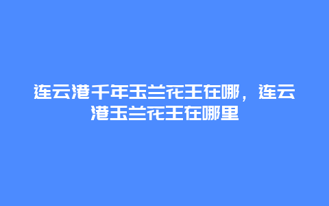 连云港千年玉兰花王在哪，连云港玉兰花王在哪里