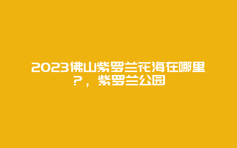 2024佛山紫罗兰花海在哪里？，紫罗兰公园