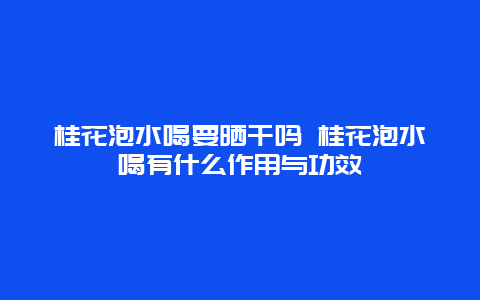 桂花泡水喝要晒干吗 桂花泡水喝有什么作用与功效