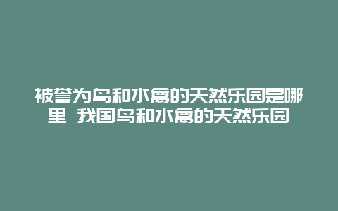 被誉为鸟和水禽的天然乐园是哪里 我国鸟和水禽的天然乐园