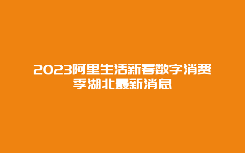 2024年阿里生活新春数字消费季湖北最新消息