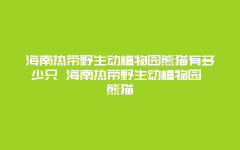 海南热带野生动植物园熊猫有多少只 海南热带野生动植物园 熊猫