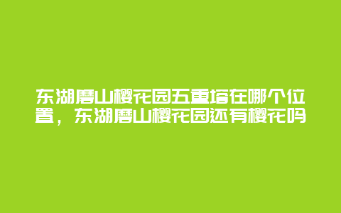 东湖磨山樱花园五重塔在哪个位置，东湖磨山樱花园还有樱花吗