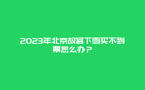 2024年北京故宫下雪买不到票怎么办？