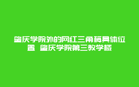 肇庆学院外的网红三角梅具体位置 肇庆学院第三教学楼