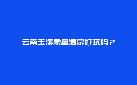 云南玉溪象鼻温泉好玩吗？