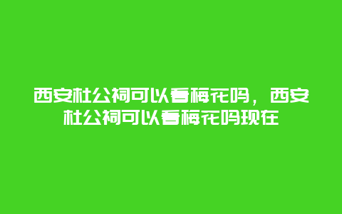 西安杜公祠可以看梅花吗，西安杜公祠可以看梅花吗现在