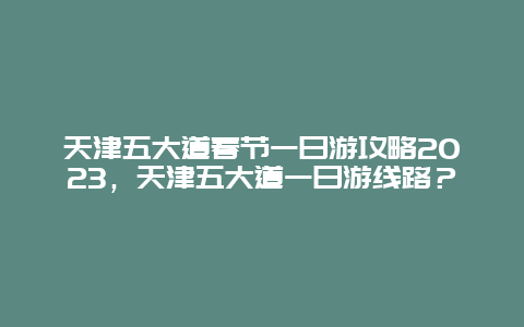 天津五大道春节一日游攻略2024年，天津五大道一日游线路？