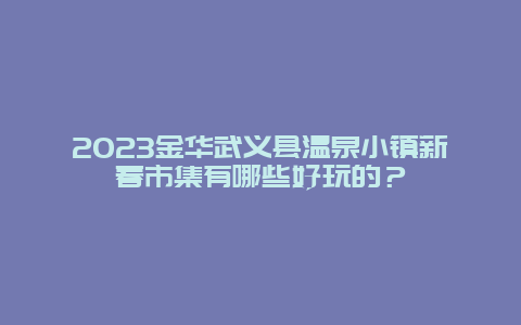 2024年金华武义县温泉小镇新春市集有哪些好玩的？