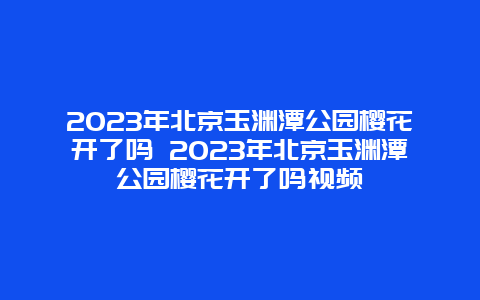 2024年北京玉渊潭公园樱花开了吗 2024年北京玉渊潭公园樱花开了吗视频