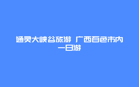 通灵大峡谷旅游 广西百色市内一日游