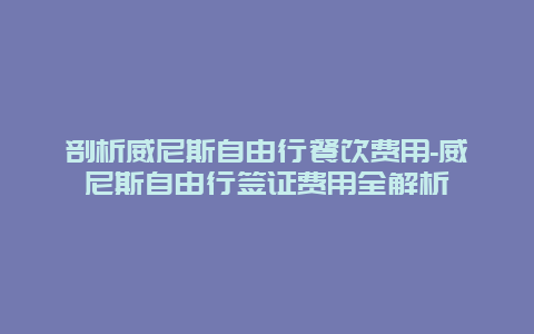 剖析威尼斯自由行餐饮费用-威尼斯自由行签证费用全解析